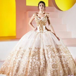 Ragazza Dress - Quinceañera, Wedding, Prom Dress!